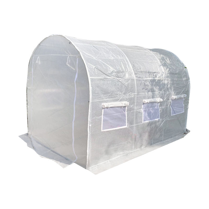 Cheaptha Teasa vs. Polai-thollán: Cén Struchtúr Fáis An Infheistíocht is Fearr le Táirgeacht Ar feadh na Bliana?