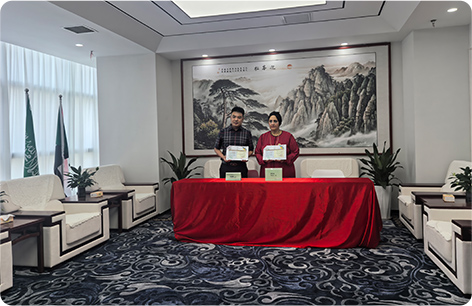 Cad iad na tréithe a bhaineann le puball an teaghlaigh?